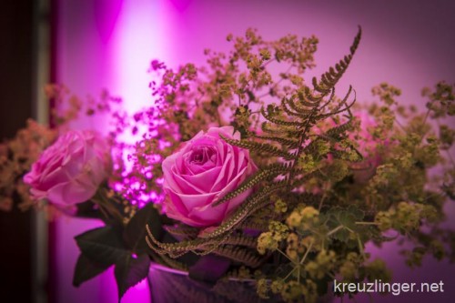 160611 2250 - Nacht der Sinne, Schloss Seeburg - fototscharner 