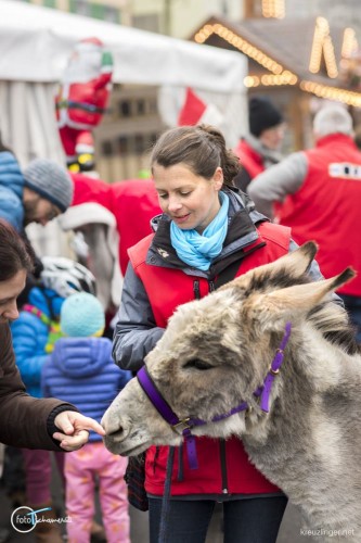 161210_131447 - Stärnäzauber Kreuzlingen - (c) fototscharner
