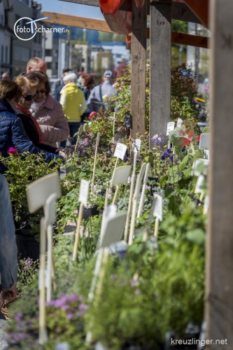 170429_155628 - Gartentag 2017 - (c) fototscharner