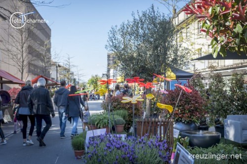 170429_165951 - Gartentag 2017 - (c) fototscharner